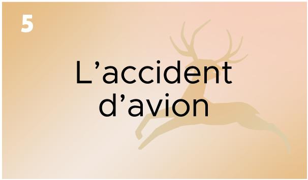 L'accident d'avion